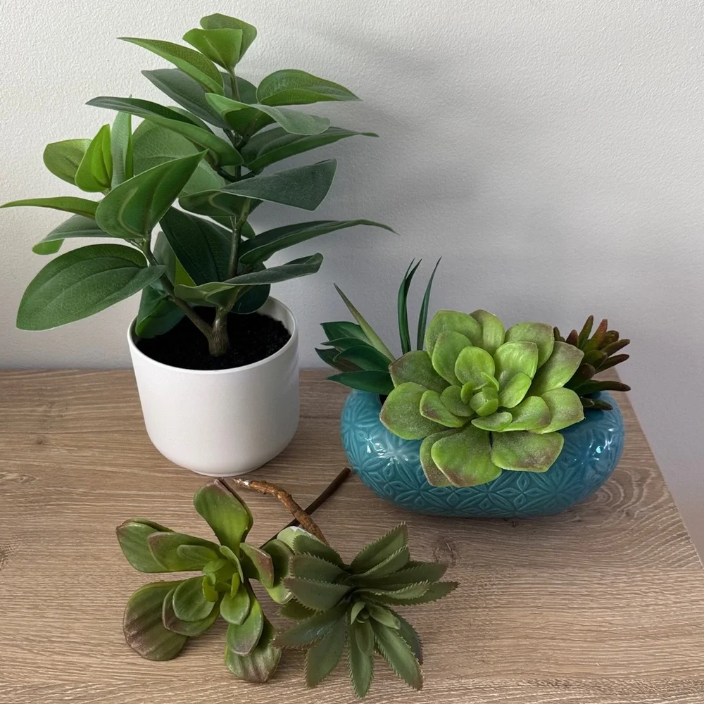 Target Faux Plant + Succulents